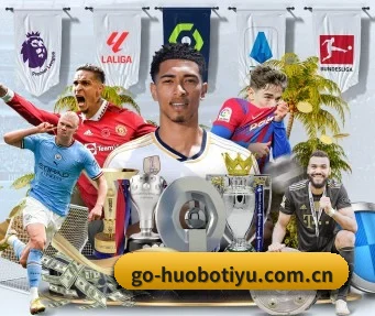 火博体育网址 APP(HUOBOSPORTS)